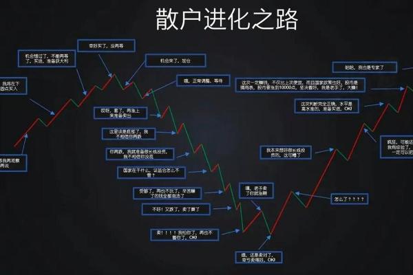 如何有效区分主力资金与散户投资者的行为模式